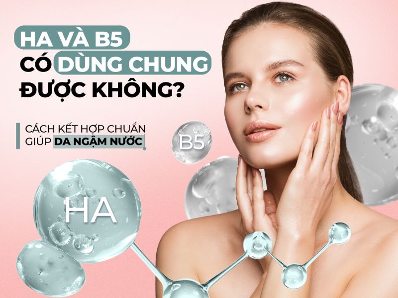 HA và B5 có dùng chung được không?