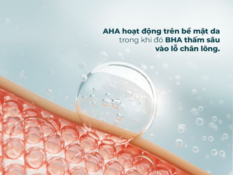 AHA/BHA và cách thức hoạt động