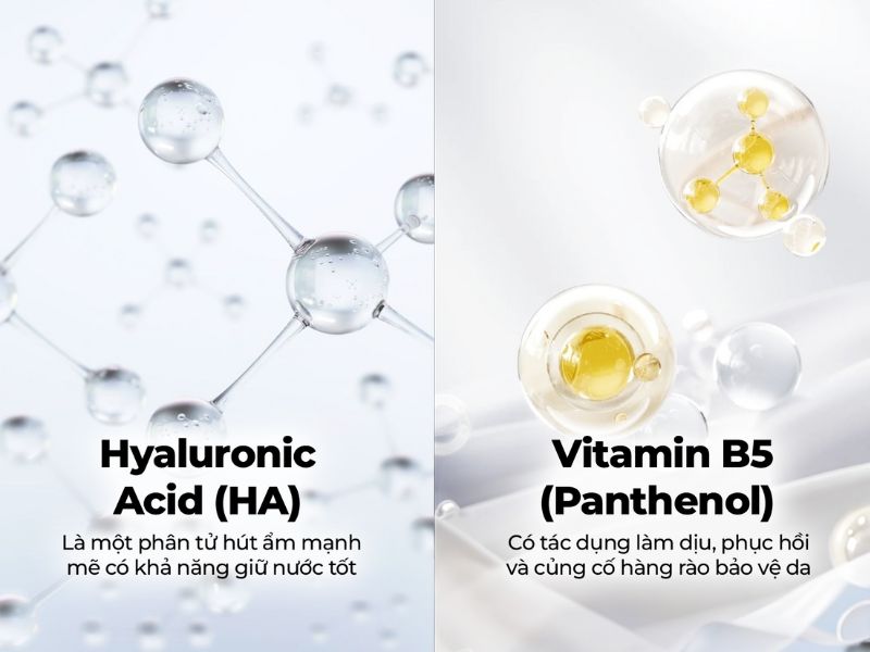 Tổng quan về HA và B5 trong chăm sóc da